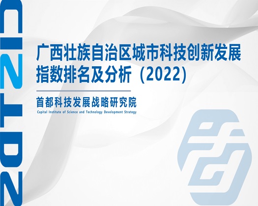 136骚逼导航【成果发布】广西壮族自治区城市科技创新发展指数排名及分析（2022）